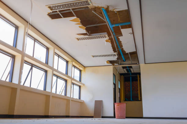 Best Water damage restoration cost  in Cleveland, FL