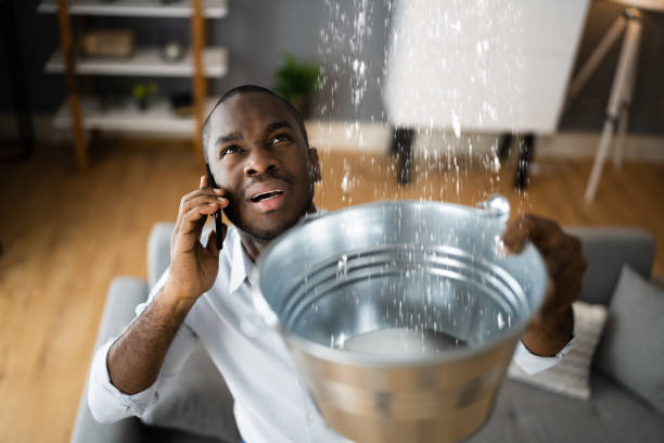 Best Water damage restoration experts  in Cleveland, FL