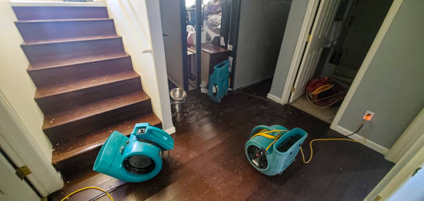 Best Flood damage cleanup  in Cleveland, FL