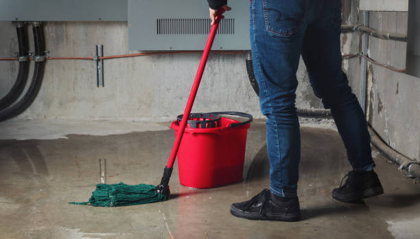 Best Commercial water damage restoration  in Cleveland, FL