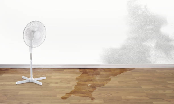 Best Sewage cleanup and water damage restoration  in Cleveland, FL