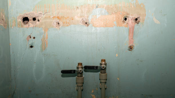 Best Flood restoration services  in Cleveland, FL
