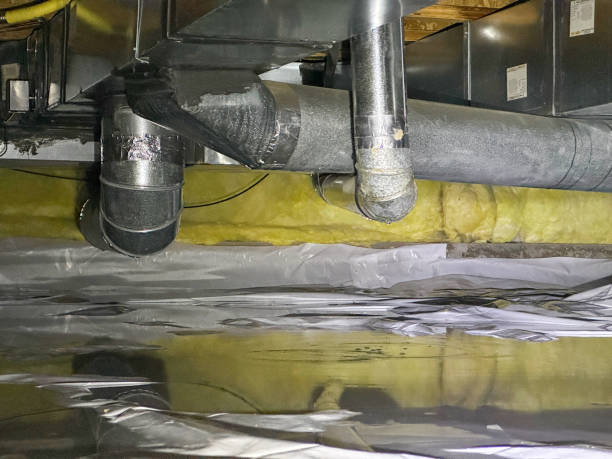 Best Professional water damage repair  in Cleveland, FL