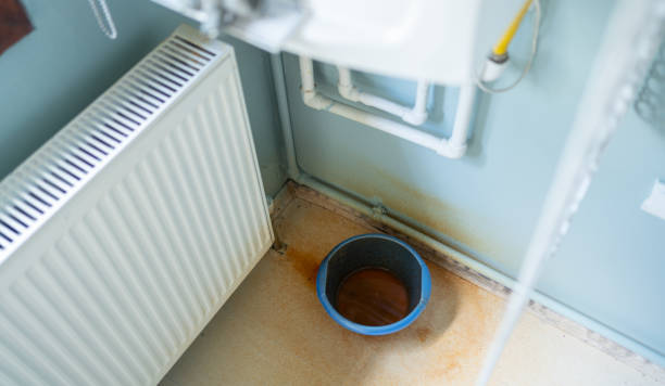 Best Carpet water damage restoration  in Cleveland, FL