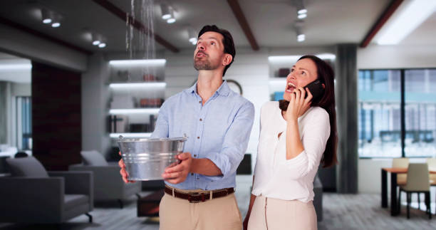 Best Water damage restoration near me  in Cleveland, FL