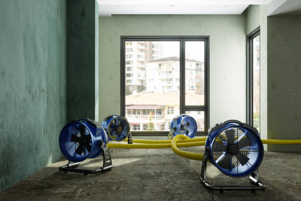 Best Flood restoration services  in Cleveland, FL