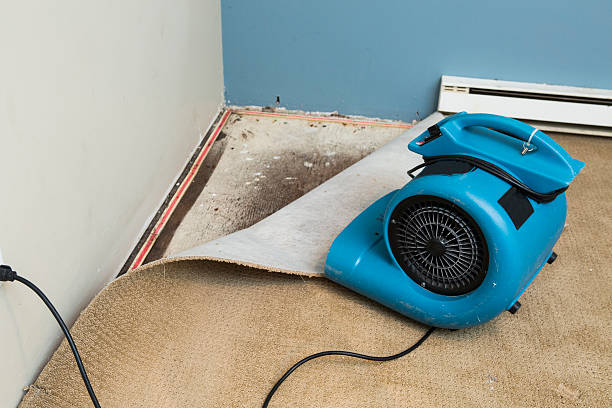 Best 24-hour water damage restoration  in Cleveland, FL